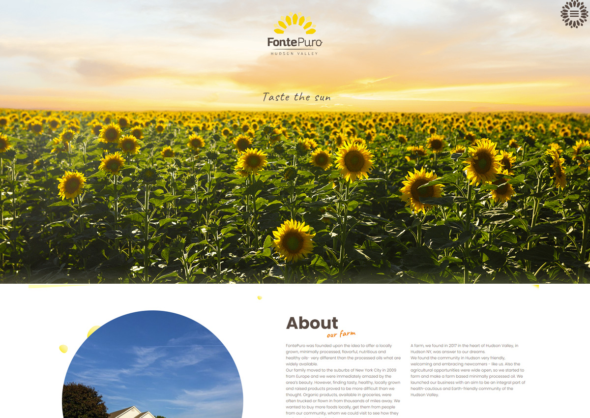 食用油葵花油外貿網(wǎng)站